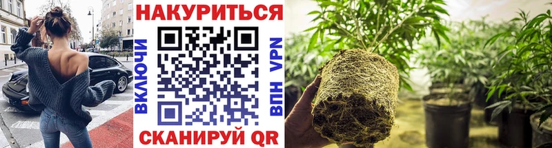 Какие есть наркотики Добрянка Cocaine  Альфа ПВП  Меф  ГАШИШ  Псилоцибиновые грибы  МЕГА как зайти  Конопля 