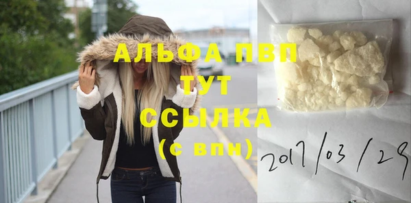 PSILOCYBIN Вяземский