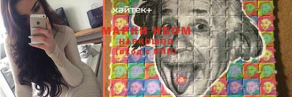PSILOCYBIN Вяземский