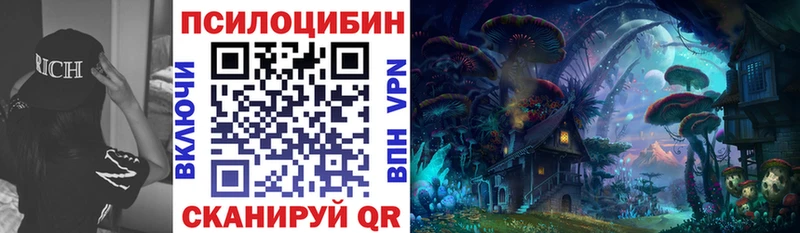где купить   Добрянка  mega как войти  Псилоцибиновые грибы мицелий 